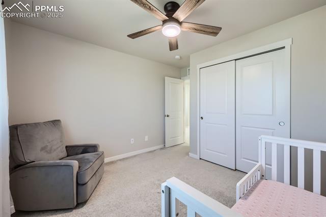 6891 Bigtooth Maple Drive