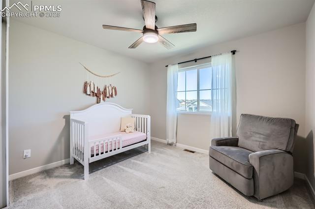 6891 Bigtooth Maple Drive