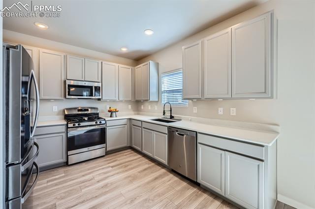 6891 Bigtooth Maple Drive