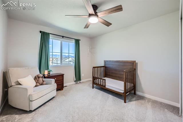 6891 Bigtooth Maple Drive