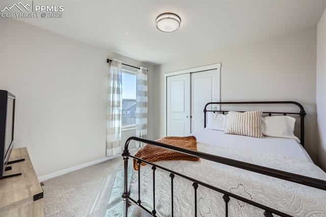 6891 Bigtooth Maple Drive