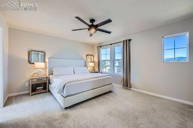 6891 Bigtooth Maple Drive