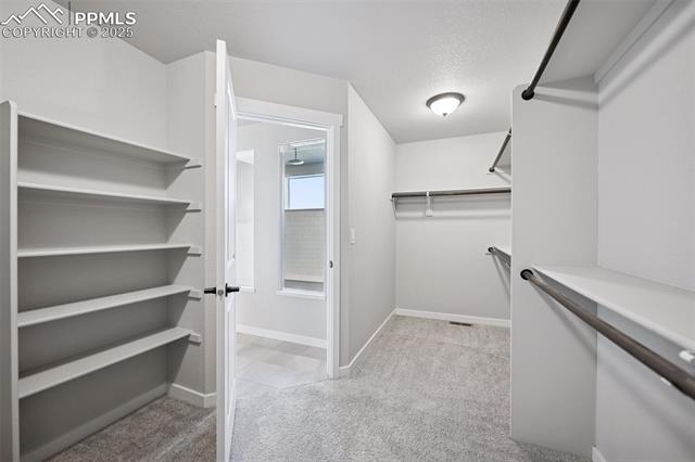 1960 Ruffino Drive