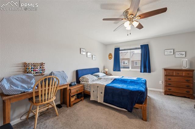 876 Petra Heights
