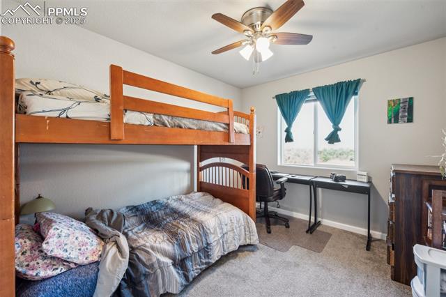 876 Petra Heights
