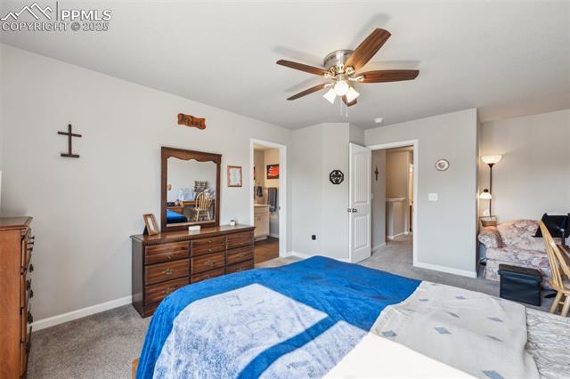 876 Petra Heights