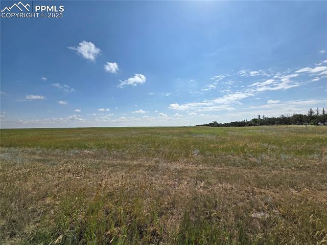 6555 N Ramah Highway