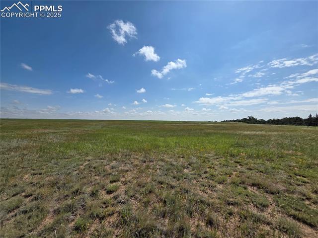 6555 N Ramah Highway