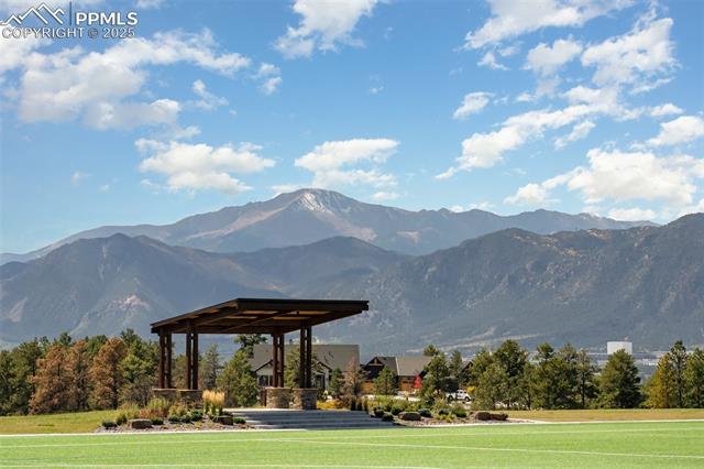 842 Tree Bark Terrace