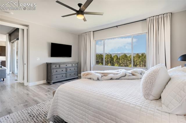 842 Tree Bark Terrace