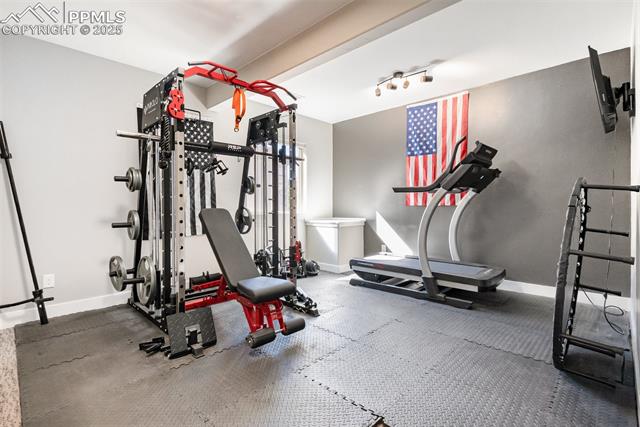 842 Tree Bark Terrace