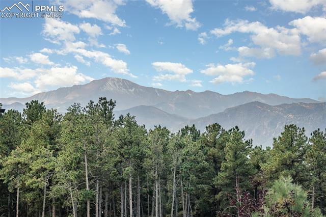 842 Tree Bark Terrace