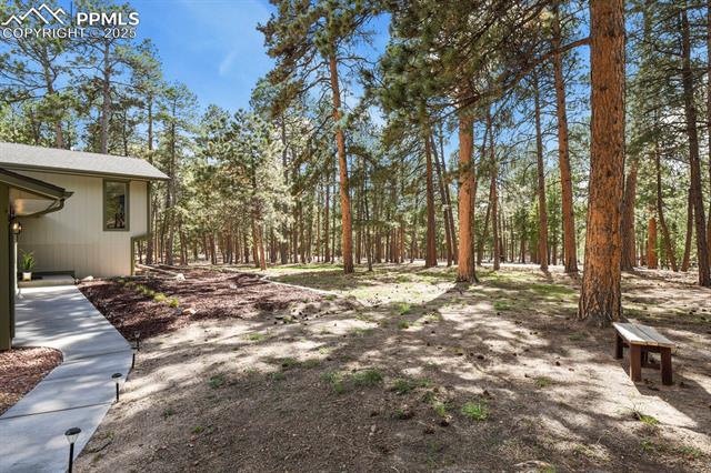 17505 Arrowwood Drive