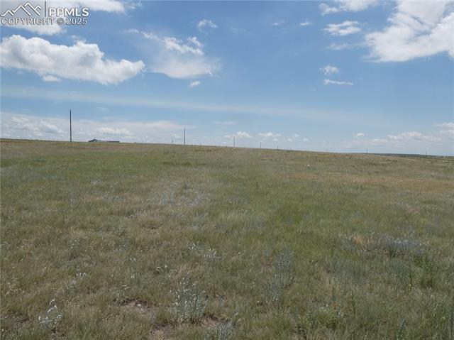 29750 Mid Jones Road