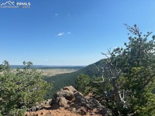 13912 Woodmoor West Drive