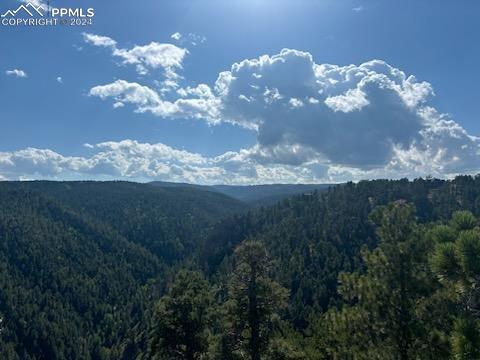 13912 Woodmoor West Drive