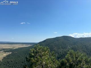 13912 Woodmoor West Drive