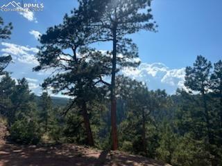 13912 Woodmoor West Drive