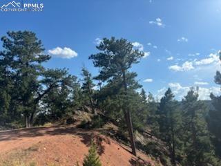 13912 Woodmoor West Drive