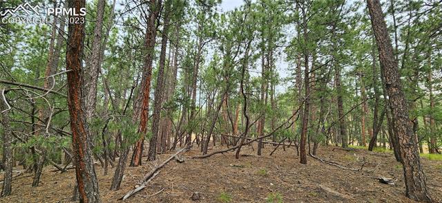 17319 Copper Valley Court