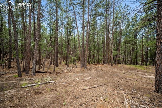 17319 Copper Valley Court