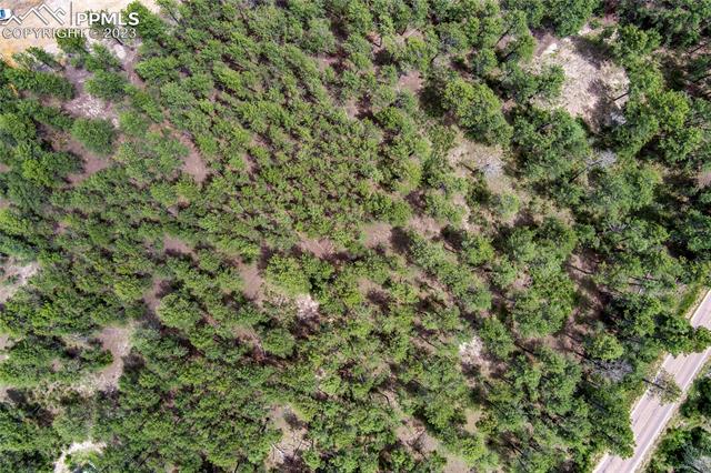 17319 Copper Valley Court