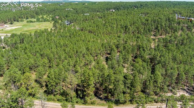 17319 Copper Valley Court