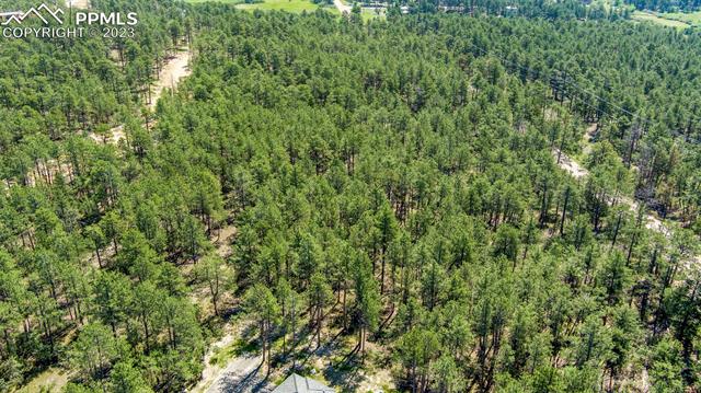 17319 Copper Valley Court