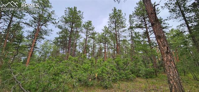 17319 Copper Valley Court