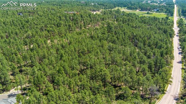 17319 Copper Valley Court