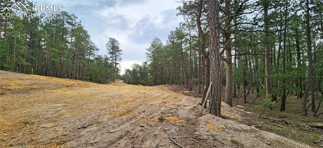 17319 Copper Valley Court