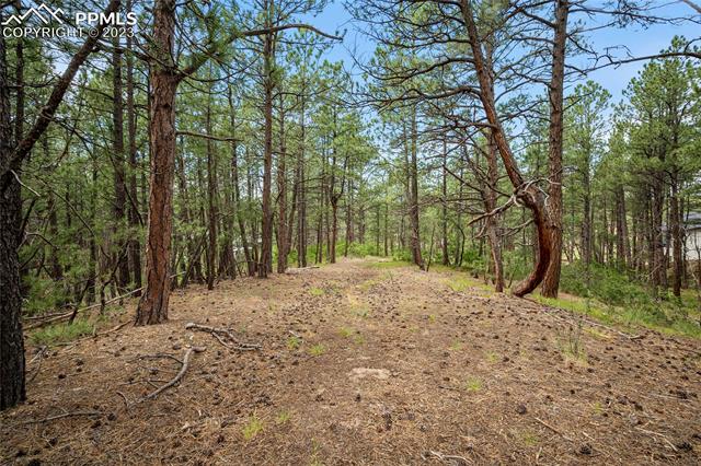 17319 Copper Valley Court