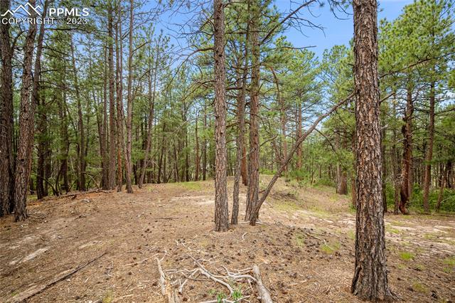 17319 Copper Valley Court