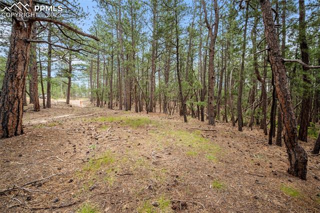 17319 Copper Valley Court