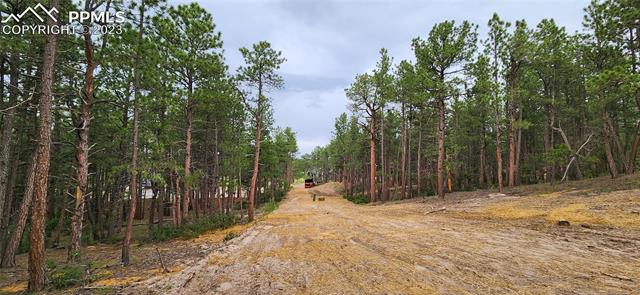 17319 Copper Valley Court