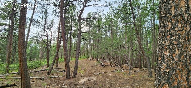 17319 Copper Valley Court