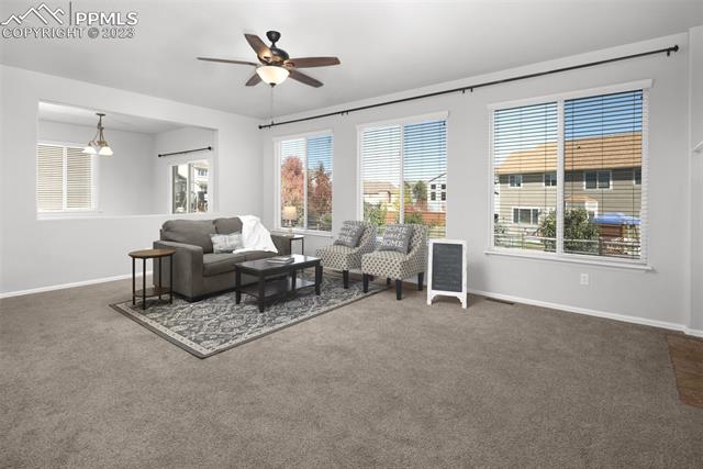 12804 Angelina Drive