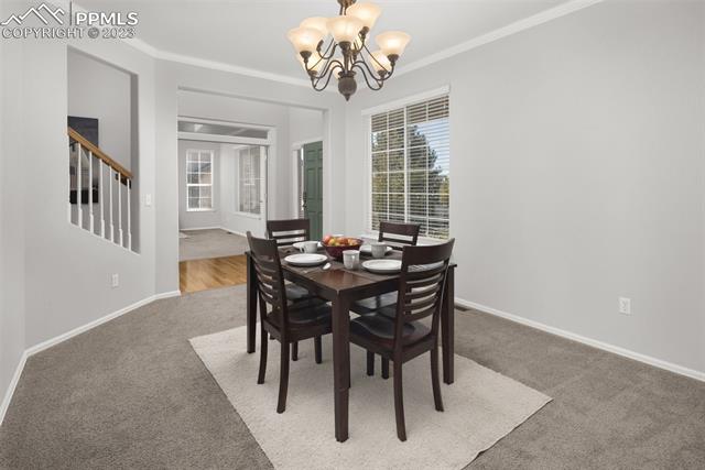 12804 Angelina Drive