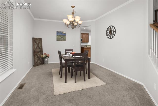 12804 Angelina Drive