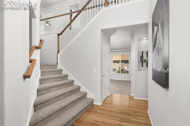 12804 Angelina Drive