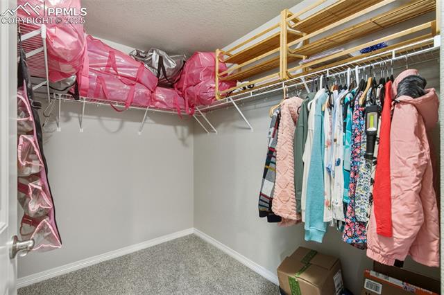 9751 Vistas Park Drive