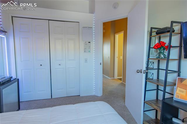 3915 Smoke Tree Drive