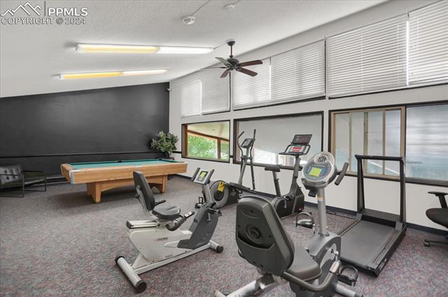 496 W Rockrimmon Boulevard F