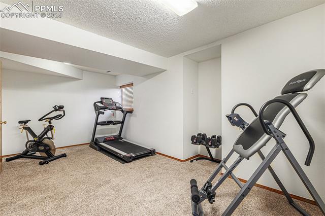 1310 Carlson Drive