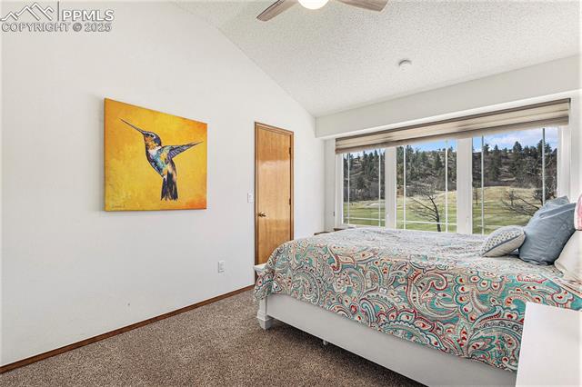 1310 Carlson Drive