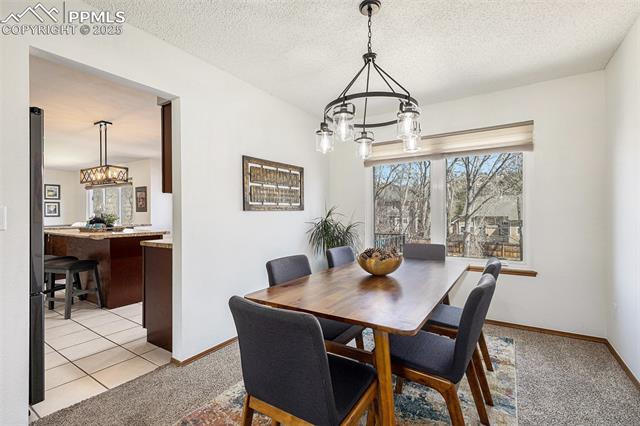 1310 Carlson Drive