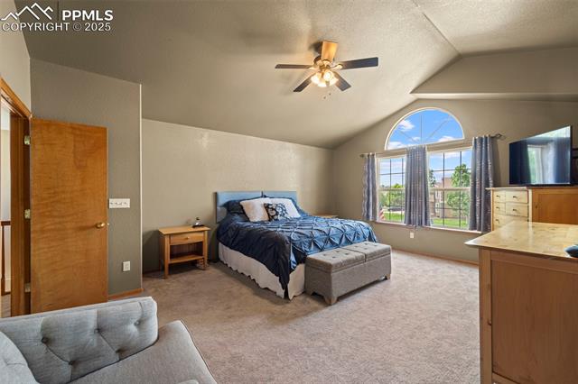 6515 Medicine Springs Drive