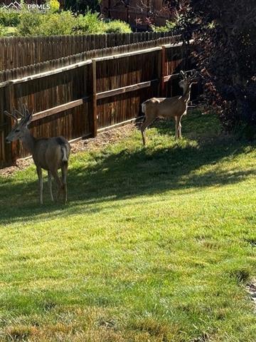 6515 Medicine Springs Drive