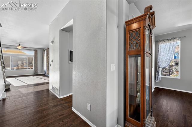 9311 Wolf Pack Terrace