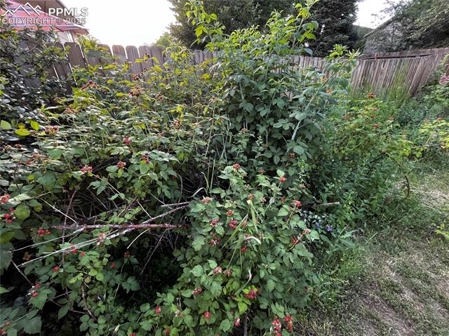 4478 Teeter Totter Circle